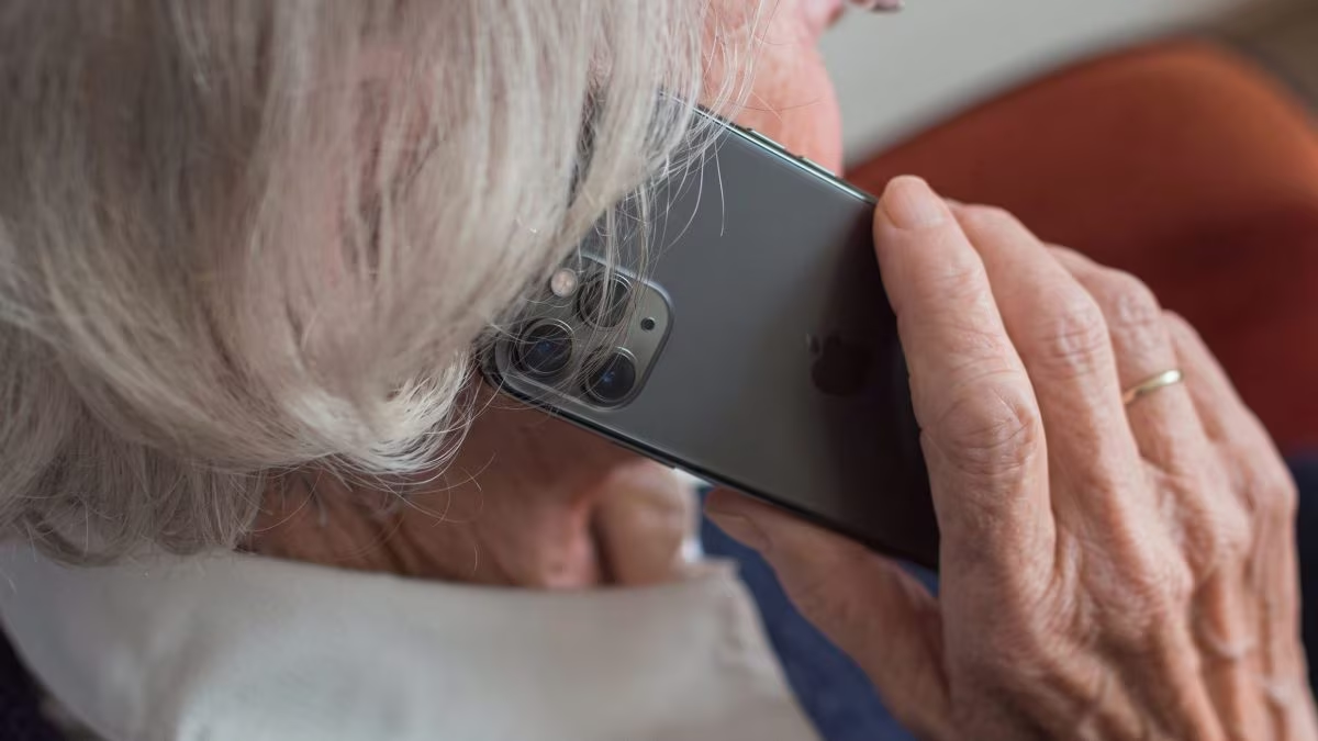 Lino il maialino salva soldino: la truffa da 200mila euro a Trento